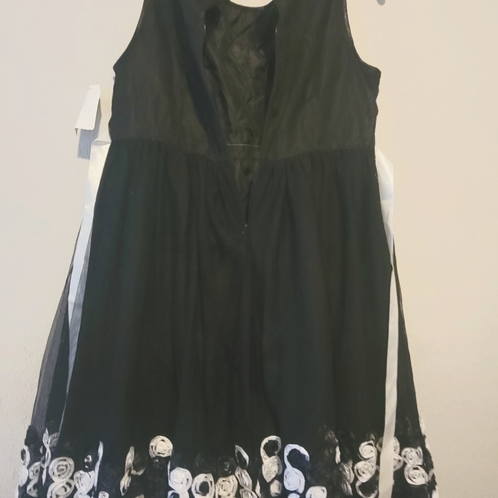 Dress size 16